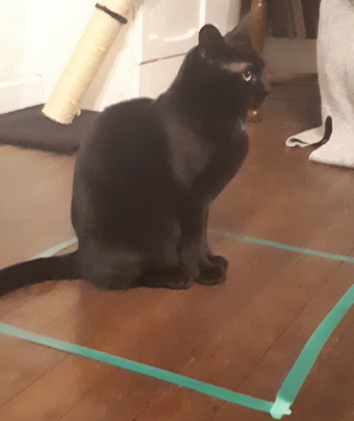Tape on the floor?