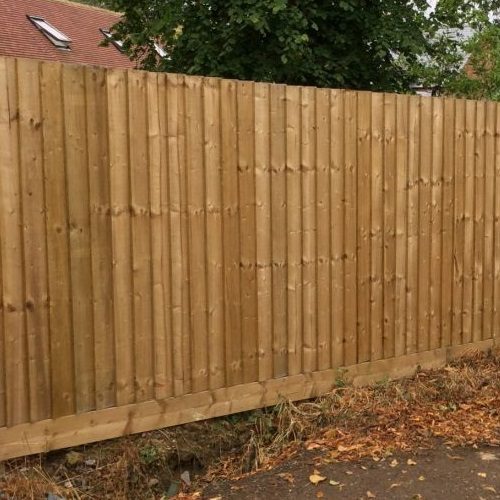 Garden and fence