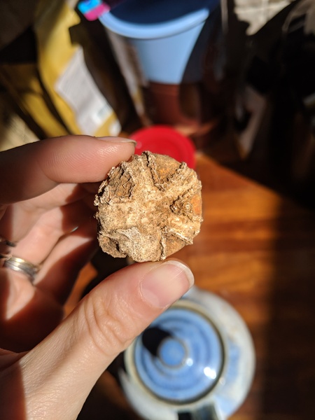 What is this object I found at our allotment?