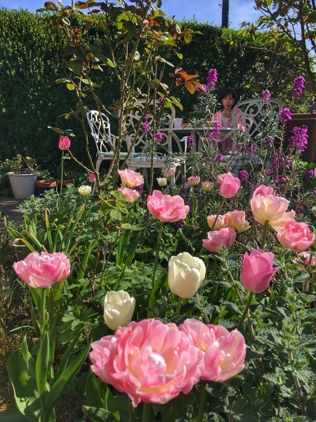 Westminstenders: No pubs till Christmas?