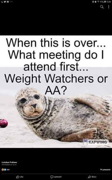 AIBU to ask for your favourite isolation memes?