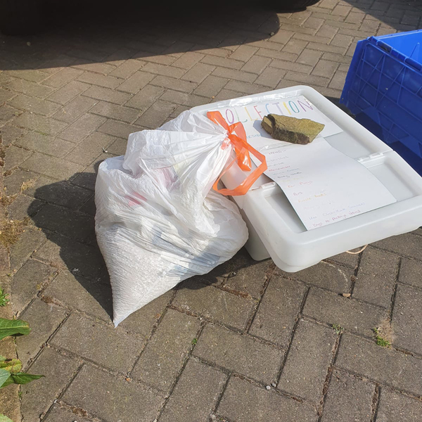 My husband donated cat shit