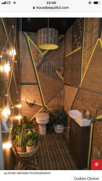If you wanted toDecoratorYour downstairs cloakroom a bit crazy, what would you do ?