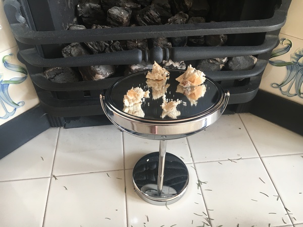 Help! Poor bird stuck in the chimney