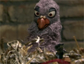 Birdie Friend returns!