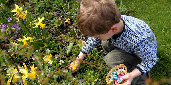 To think that posting photos of massive piles of eggs is in bad taste?