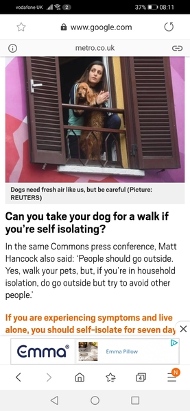Can I walk my dog?
