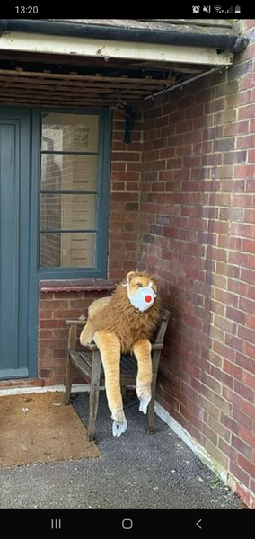 Neighbourhood oddities on your daily walk