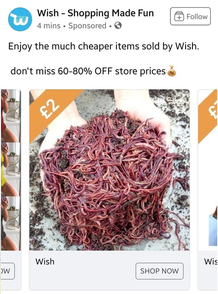 Wish adverts on Facebook