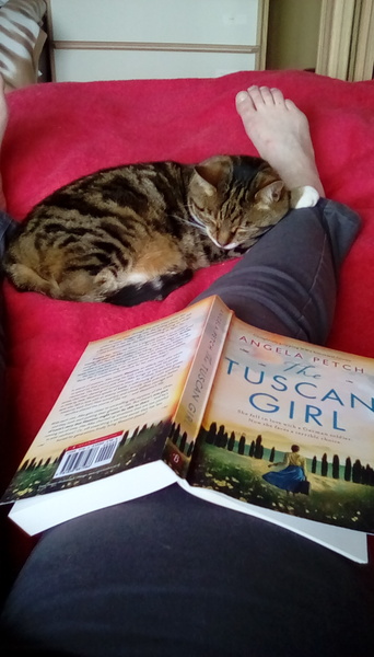 What's your DCat up to today? (Thread 7!)