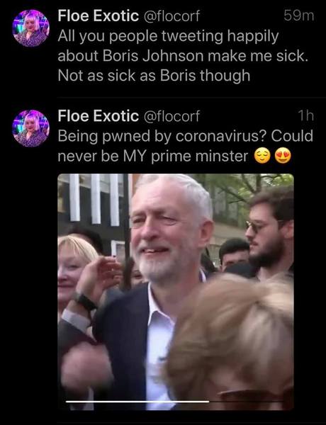 The author of Labour's trans pledge tweets 'BYE BYE HONEY!' at Boris Johnson
