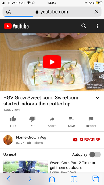 2020 new Gardeners’  thread