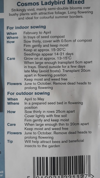 Allotment/Veg Patch Thread 15 - will winter ever end?