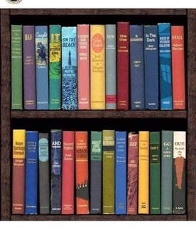 To wonder why all the 'WFH' COVID experts, journalists, MPs etc  are filmed with bookshelves behind...