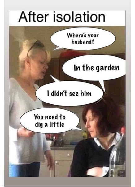 AIBU to ask for your favourite isolation memes?