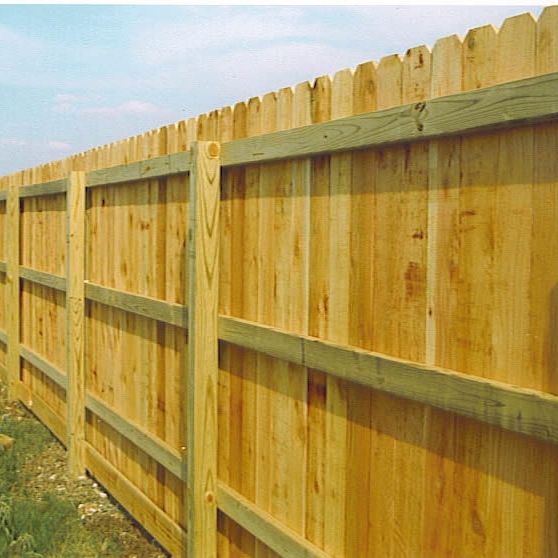 Garden and fence