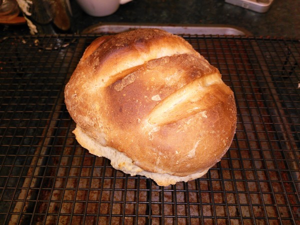 Calling sourdough starter experts!