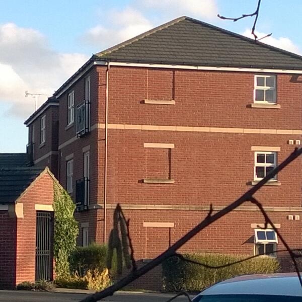 Neighbourhood oddities on your daily walk