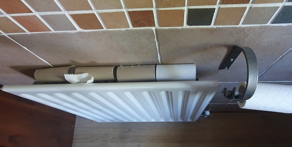 Toilet roll challenge
