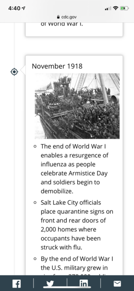 Call for 8th May VE Day Street Parties - jolly fun or recipe for disaster?