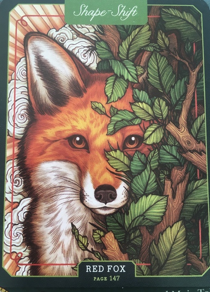 Any Witches Here? Part 11