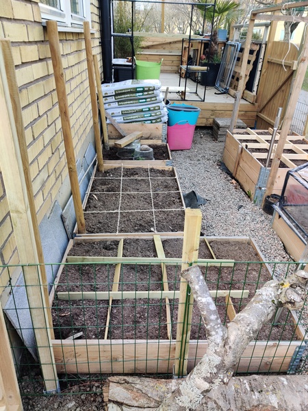Is anyone managing to get new garden stuff? On a budget and complete novice, plus any cheap and cheerful sprucing up tips to share?