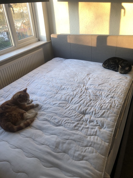 Flatmate has left leaving me up the creek