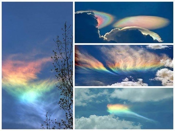 Any Witches Here? Part 11