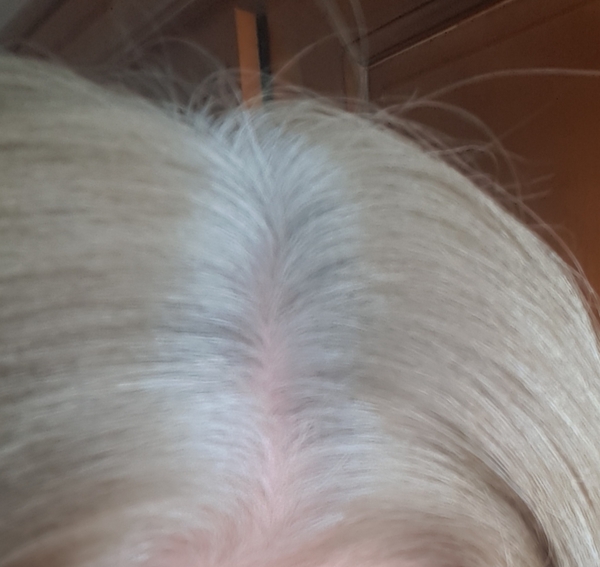 Anyone using lockdown as an excuse to grow out their grey?