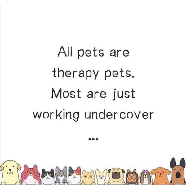 To ask if anyone else has a pet that's helped them with their MH struggles?