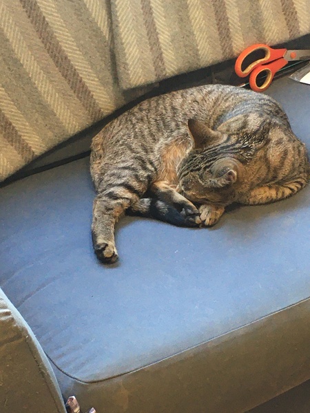 A thread for calm - peace, happy thoughts, support.