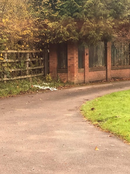 I just saw a sparrowhawk take a collared dove in my garden!