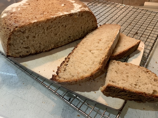 Calling sourdough starter experts!