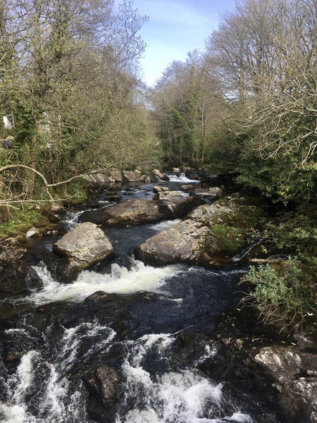 Any Witches Here? Part 11