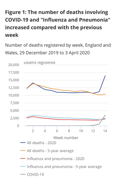 Death toll and hysteria