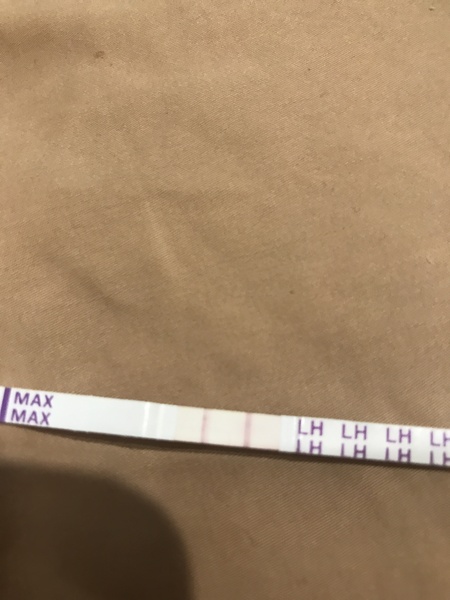 Support thread for women who are pregnant or TTC after a termination for abnormalities - Thread 6