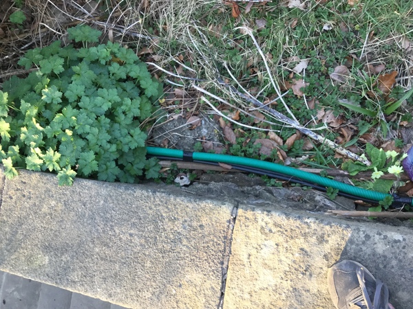 What is this green pipe please?