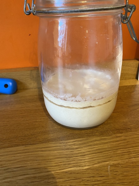 Sourdough Hooch?!?! 😭