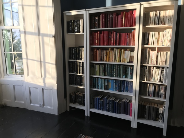 Where shall I put black, white and grey in the rainbow?