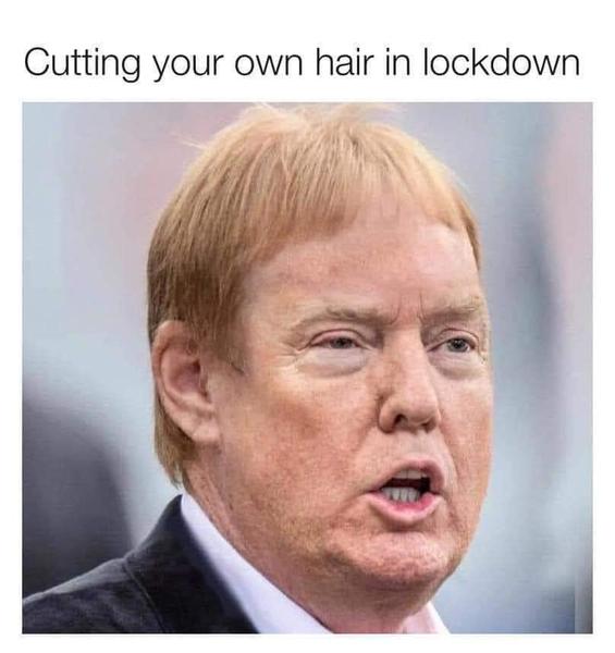 Trump 100 Thread and We're Way Down the Rabbit Hole.