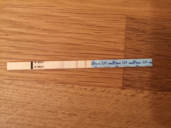 Positive or negative opk? When to have sex?