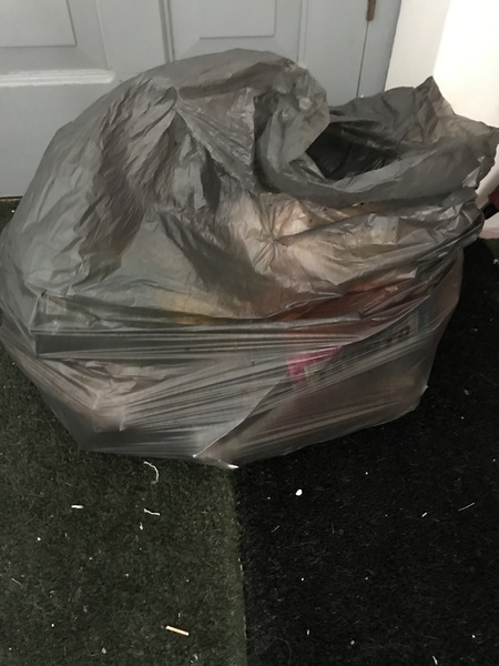 Help - rats in my kitchen