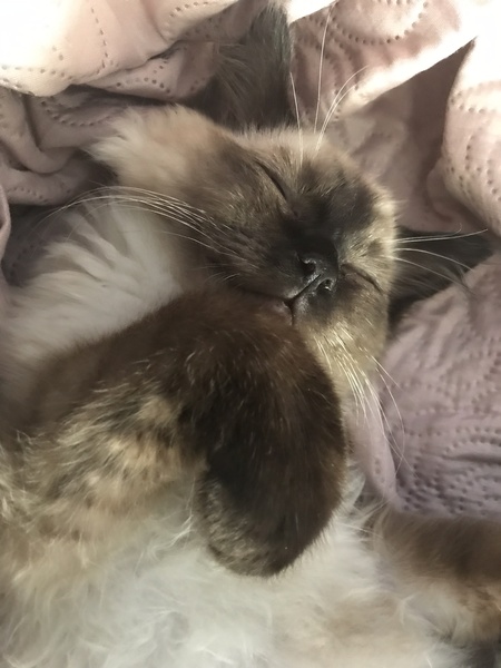 Bring your worries over here, the Night Shift are here to mind them.