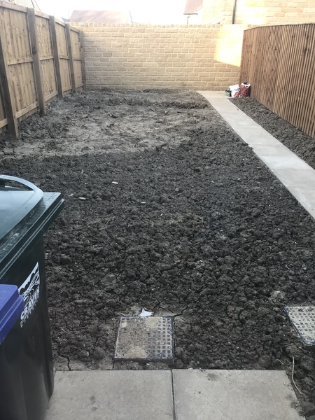 To be sad I have a North East facing tiny courtyard?