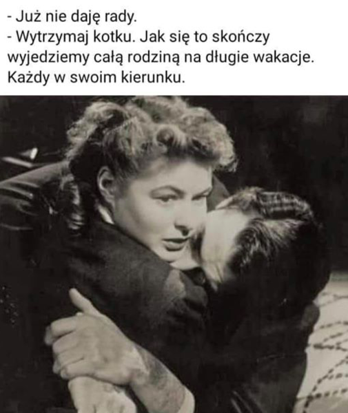 Female 'friend' sent this to DH - can anyone translate from Polish?