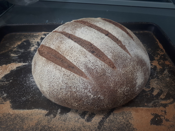 Calling sourdough starter experts!