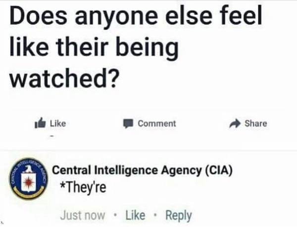To think that we are being watched ?