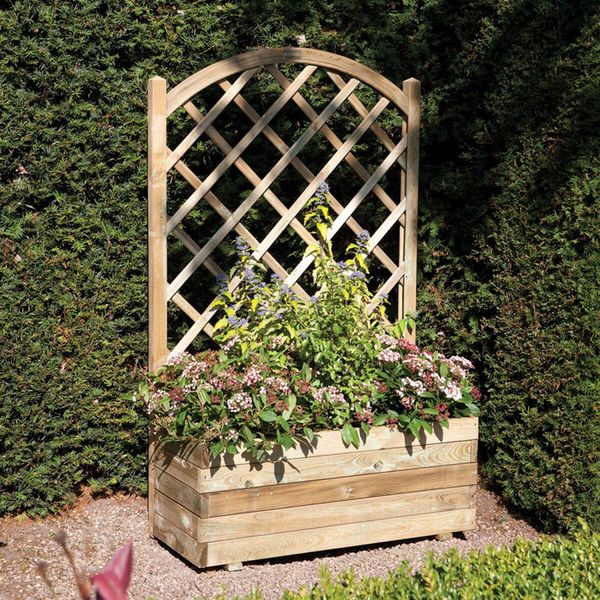 To let ivy overgrow my house?