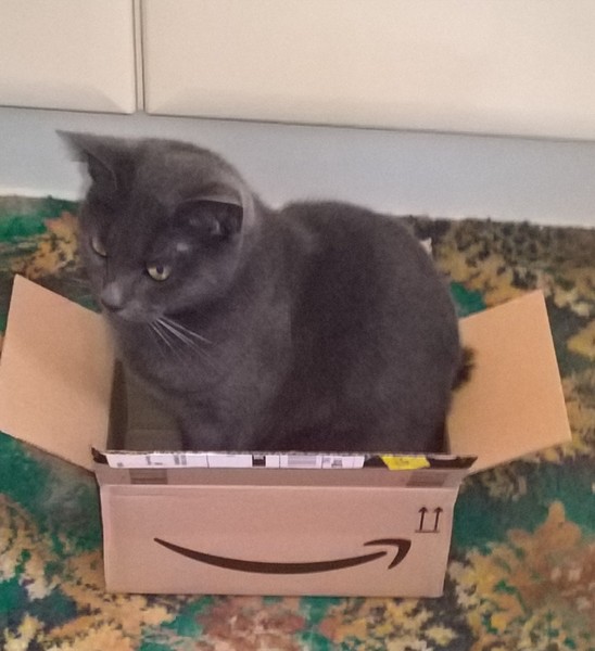 What's your DCat up to today? (Thread 7!)