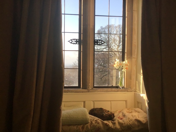 Westminstenders: No pubs till Christmas?